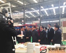 副國級(jí)領(lǐng)導(dǎo)來訪寶潤達(dá)參觀調(diào)研